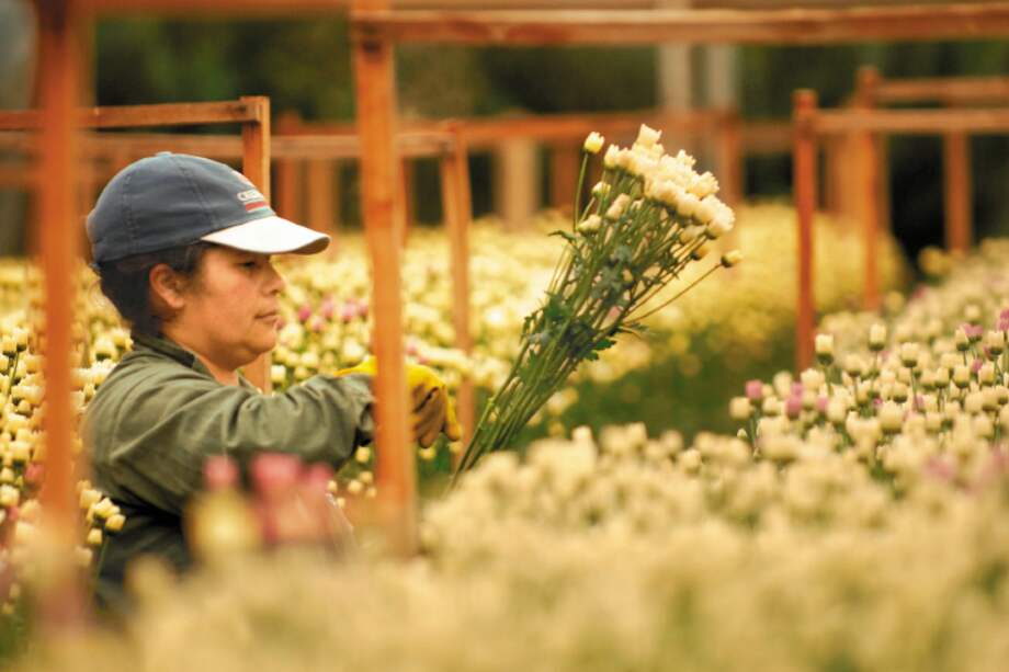 Archivo El Espectador