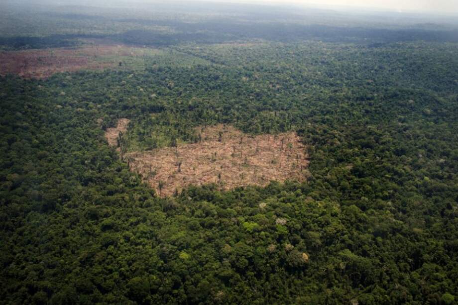 Deforestación arrasó 120.933 hectáreas de bosques en Colombia en 2013