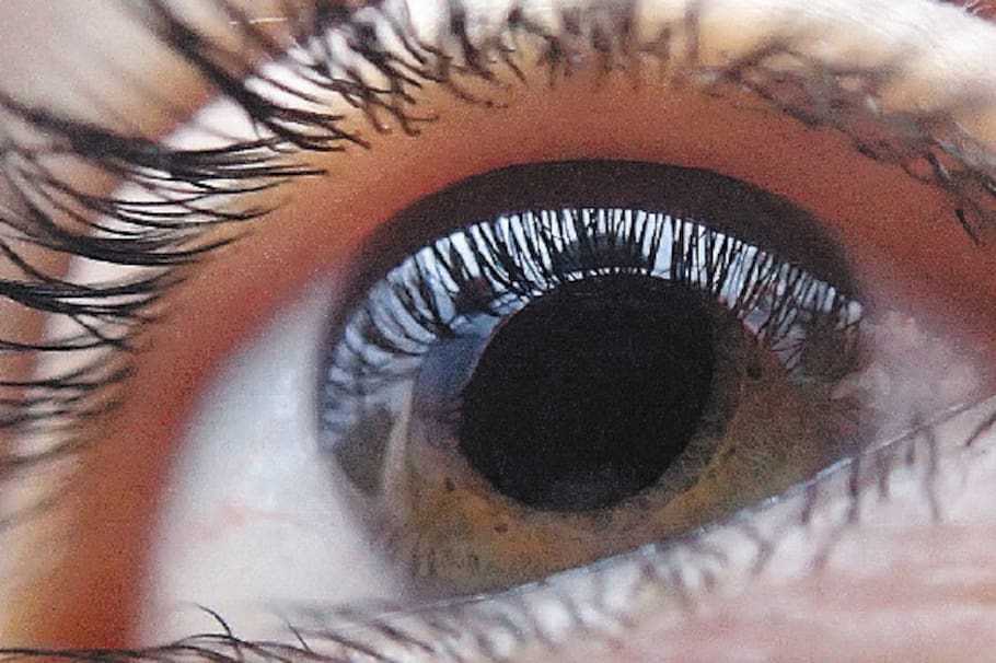 Fatiga visual y salud ocular: las señales que tus ojos no pueden esconder