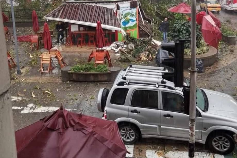 Una mujer y un hombre resultaron heridos tras la caída de un árbol de 20 metros en la plaza de Bolívar.