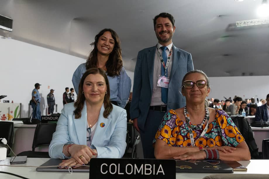 Daniela Durán, jefe de la Oficina de Asuntos Internacionales del Ministerio de Ambiente, arriba a la izquierda; Haendel Sebastián Rodríguez, de la Cancillería,
Diana Mejía, directora de Asuntos Económicos, Sociales y Ambientales de la Cancillería, abajo a la izquierda, y Tatiana Roa, viceministra de Ordenamiento Ambiental del Territorio del Minambiente, hacen parte de la delegación de Colombia en la COP30.