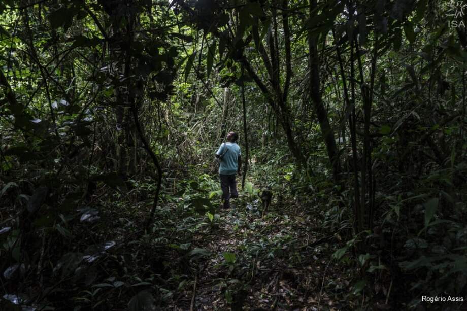 Reserva Extractiva Riozinho do Anfrísio, en la Amazonía de Brasil. / Rogério Assis