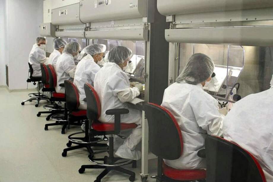 Archivo AFP / Archivo AFP