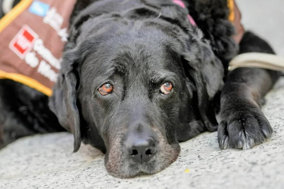 La experiencia de Eika abre la puerta a una justicia más humana.