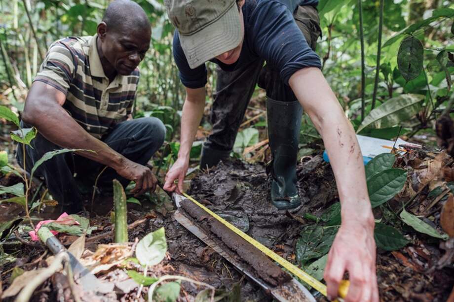 Las turberas del Congo son el mayor complejo de turberas tropicales del mundo. En total cuentan con 16,7 millones de hectáreas.