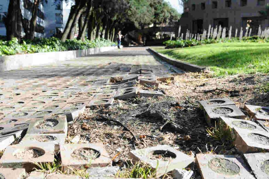 El 90% de los edificios de la UN no son sismorresistentes. / Unimedios