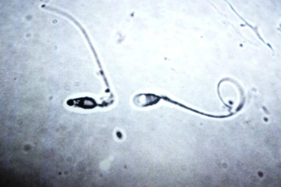 Foto de referencia. / Iqbal Osman