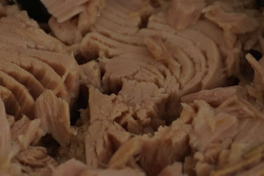 Tomada de Pixabay/Referencia