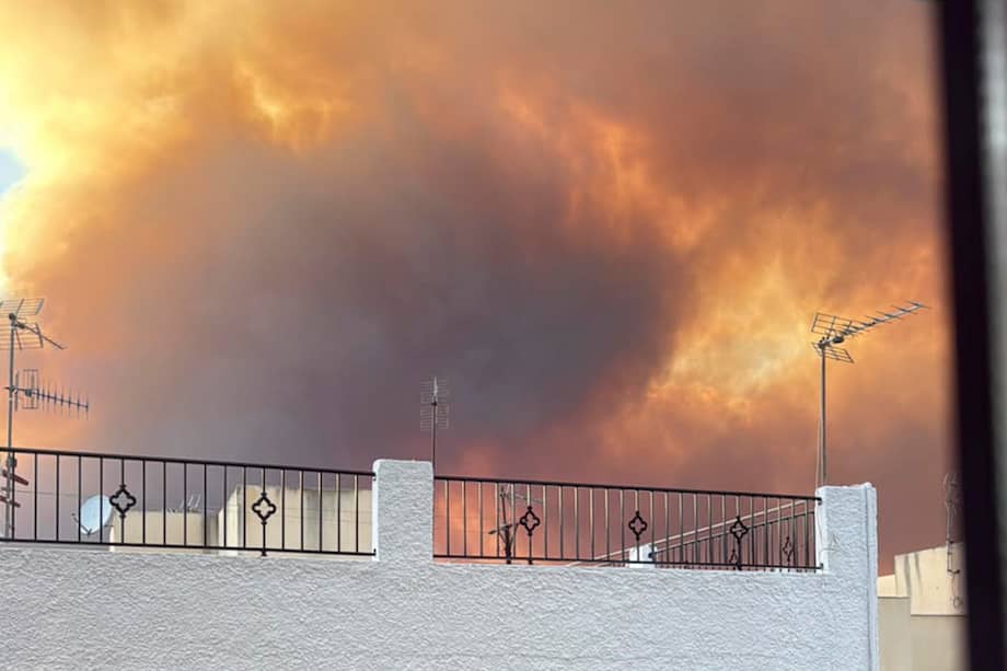 Vista del incendio desde una de las viviendas que fueron desalojadas en Bédar.