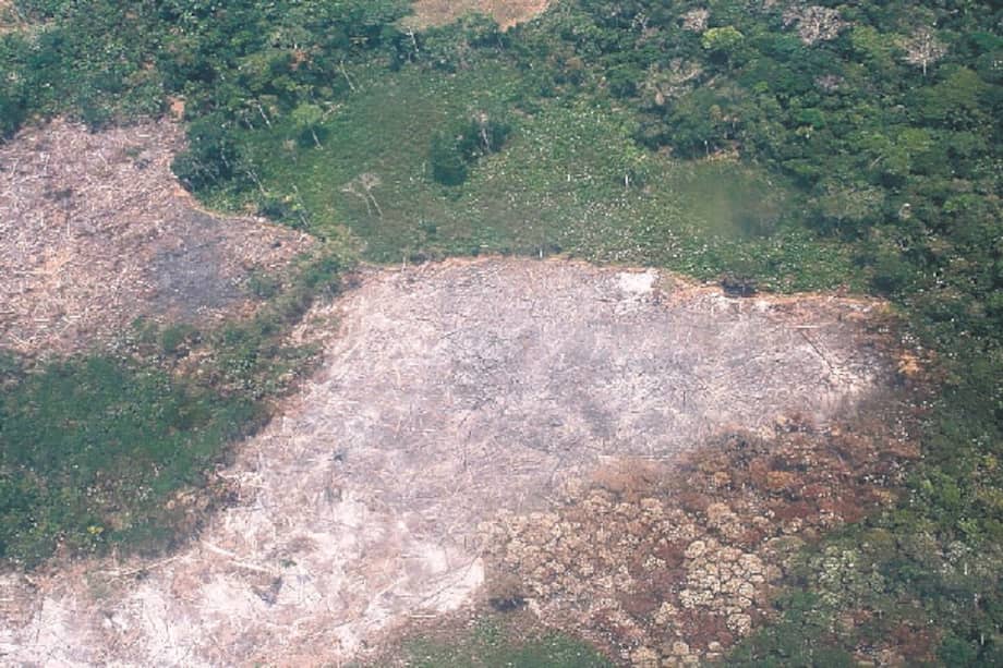 Los incendios en la Amazonia colombiana aumentaron 81 % en el último año, según el Instituto Nacional de Investigaciones Espaciales de Brasil. / Cortesía