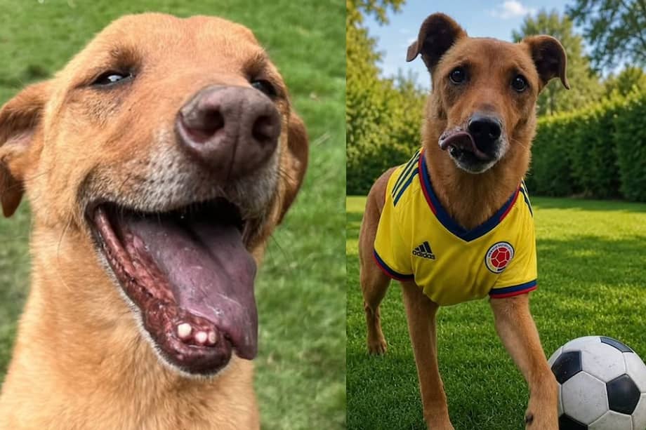 Puede ayudar a cambiar su vida compartiendo esta publicación o considerando la adopción.