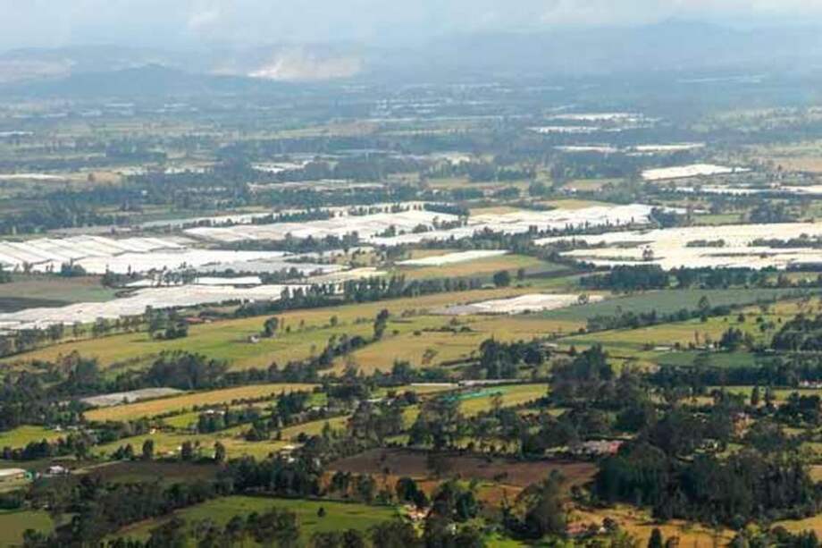 Reserva Forestal del Norte en Bogotá es un hecho
