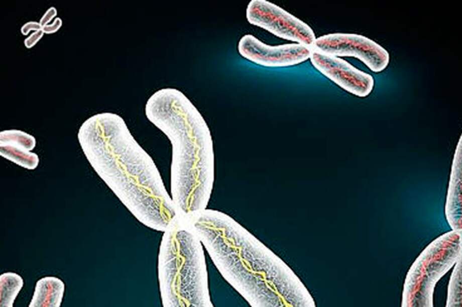 ¿Fabricando cromosomas no se está jugando a ser Dios?