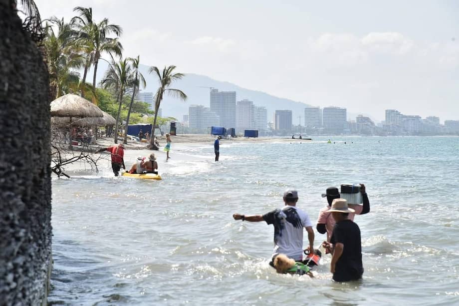 Restos de árboles y sedimentos quedaron sobre la playa tras el fuerte mar de leva provocado por el reciente frente frío en el sur de Santa Marta.