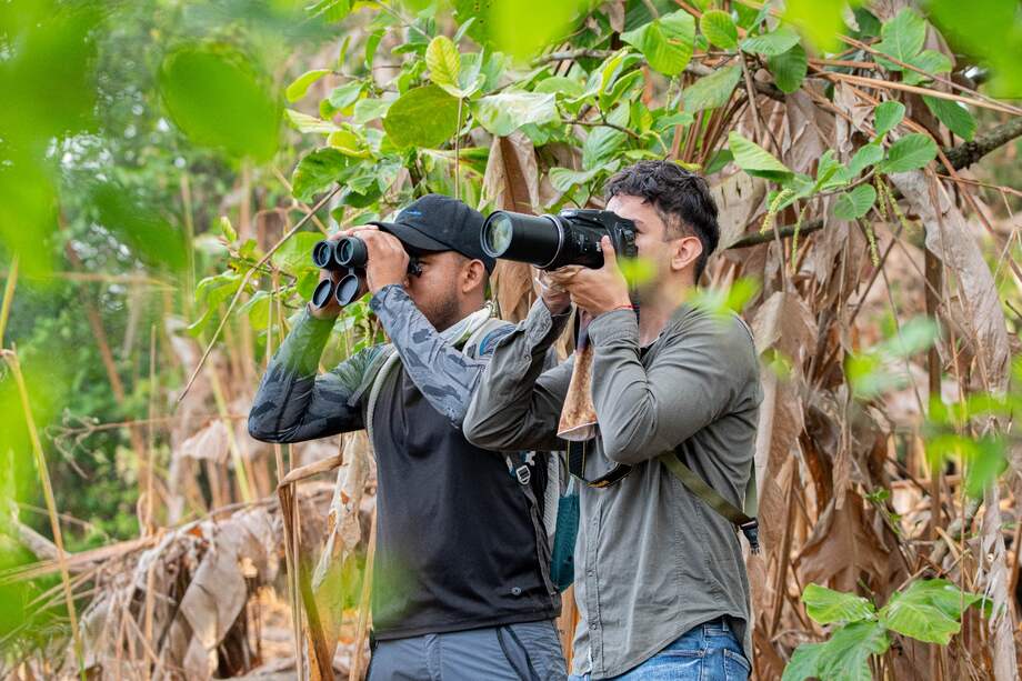 Cinco destinos líderes en aviturismo que todo amante de las aves debe conocer
