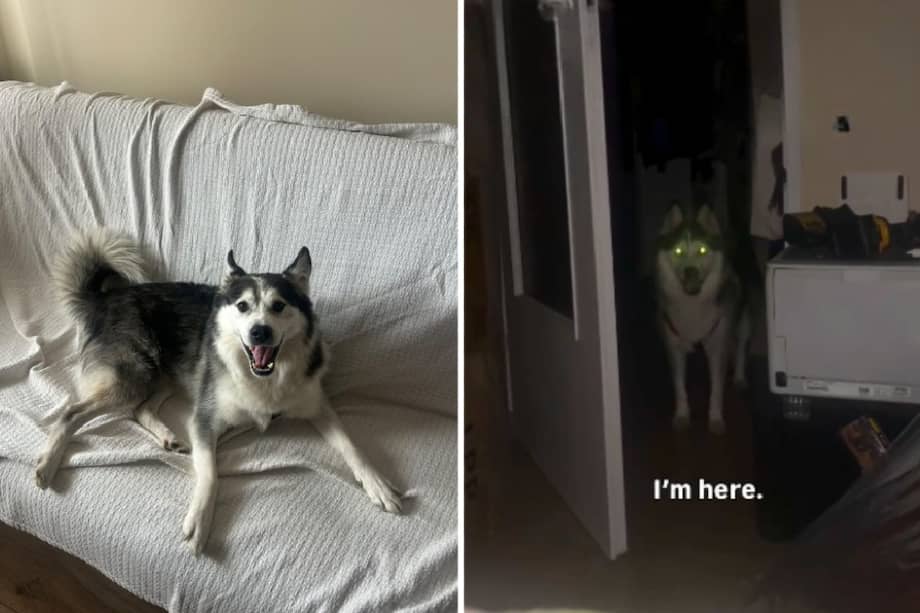 Desde su llegada, Trufle ha demostrado un carácter dulce y protector.