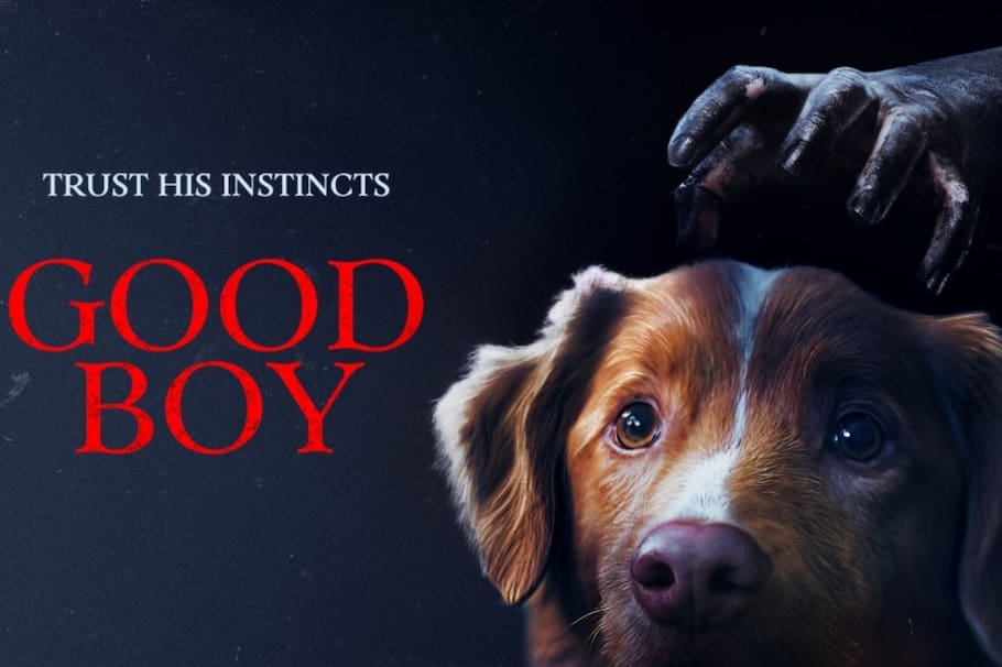 El protagonista canino hizo historia en Hollywood al convertirse en el primer nominado en una categoría que ha sido reservada para actores humanos.