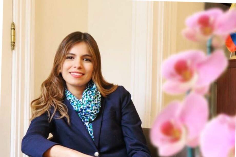 Villalba fue directora de proyectos especiales de la Cámara de Comercio de Bogotá y es afiliada al Beckman Klein Center de la universidad de Harvard.