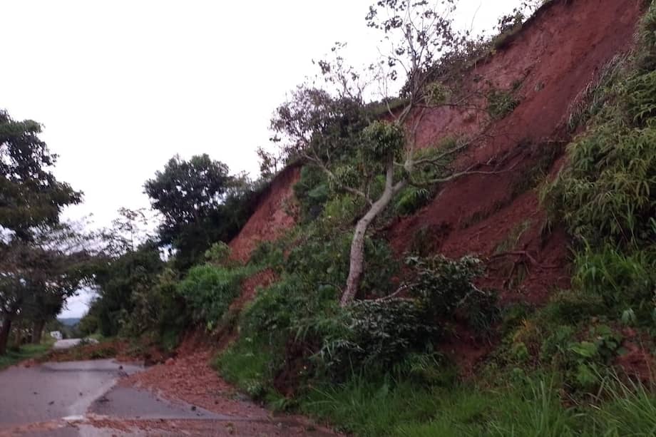El alcalde de Palocabildo indicó que pese a los esfuerzos de las autoridades, encontraron sin vida a los niños de tres y 15 años.