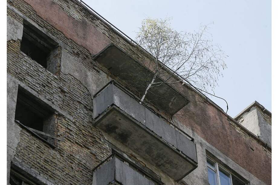 Un árbol crece en un balcón de un edificio abandonado, en la desértica ciudad de / Un árbol crece en un balcón de un edificio abandonado, en la desértica ciudad de