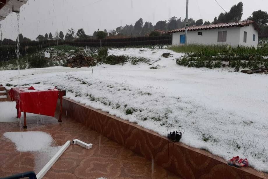 El Dagrd reporta 30 desplomes de árboles, cinco deslizamientos y 25 inundaciones.