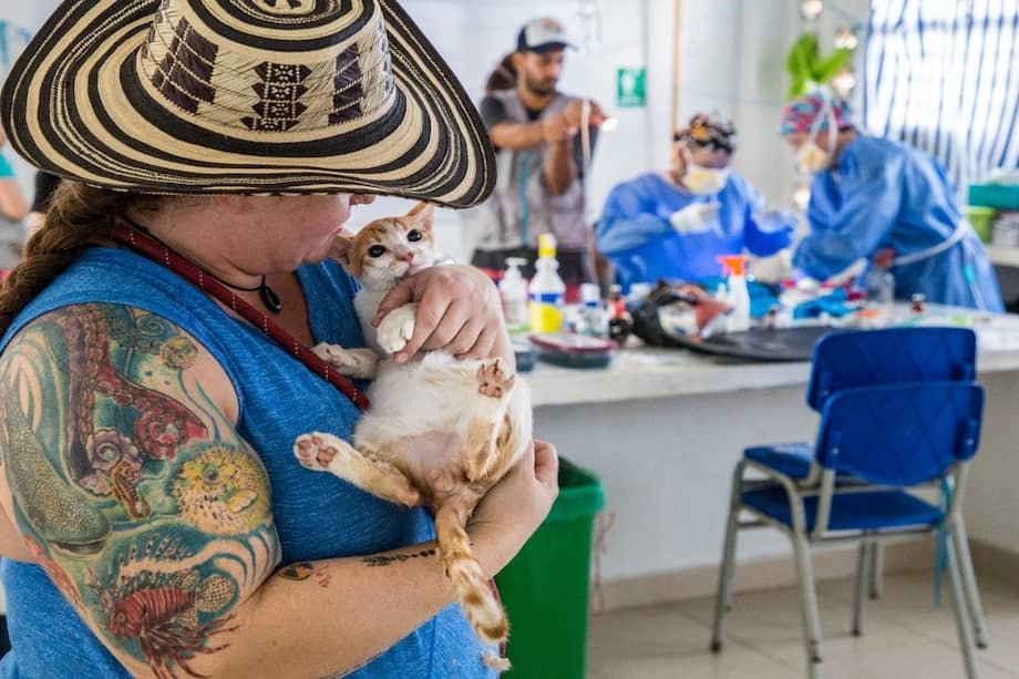 La Corporación RAYA nació en el año de 2003 con un enfoque anti-especista: es decir, de protección de todo tipo de animales, incluyendo los que están destinados al consumo humano.