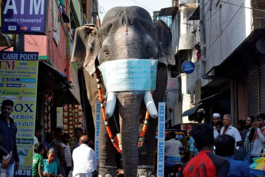 Cerca de 1.300 millones de habitantes en la India tendrán que guardar cuarentena durante 21 días. / AFP