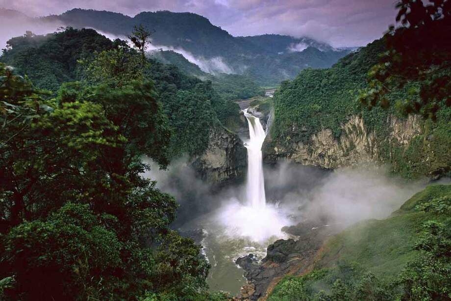 Parque natural Yasuni. /Archivo