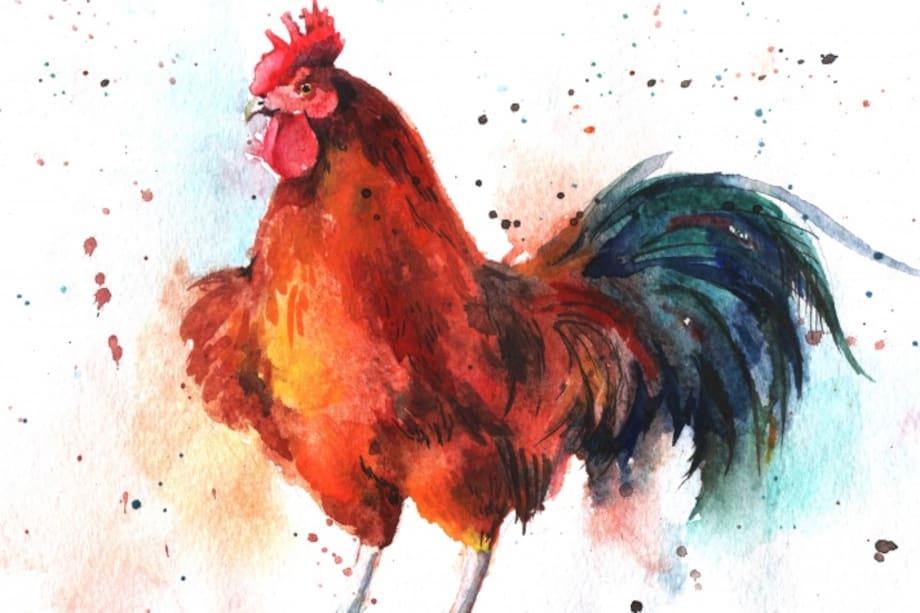 2017, el año del gallo