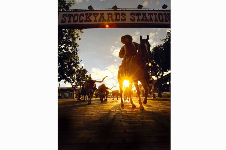 Cuando cae la noche en Stockyards cada viernes es posible disfrutar de un campeonato de rodeo. / Archivo particular
