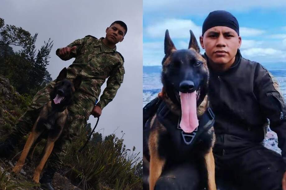 Él es el guía canino de Wilson, quien sigue en la selva buscándolo.