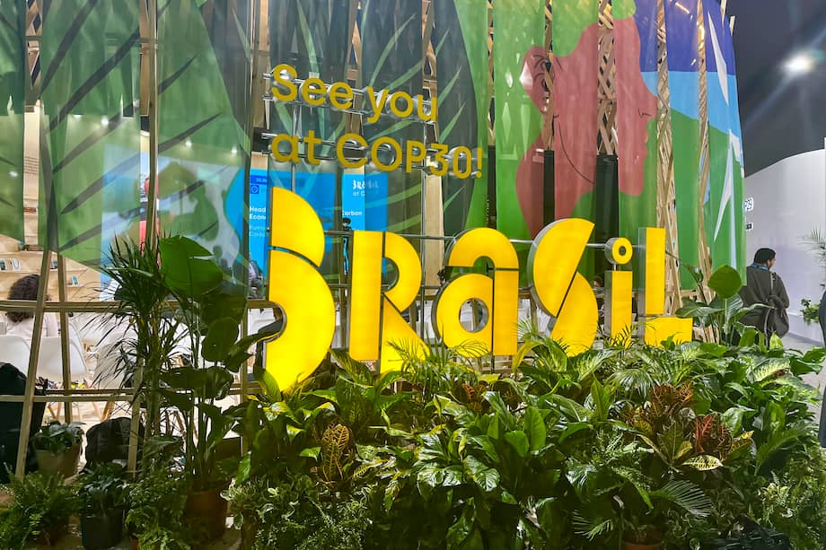 La COP30 se realizará del 10 de noviembre de al viernes, 21 de noviembre. EFE/ Elena Sánchez Laso