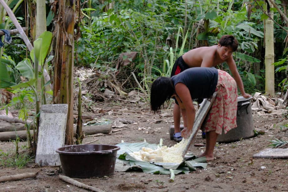 La yuca amarga ha dejado, hasta el momento, 28 muertos en Venezuela. / Wikipedia