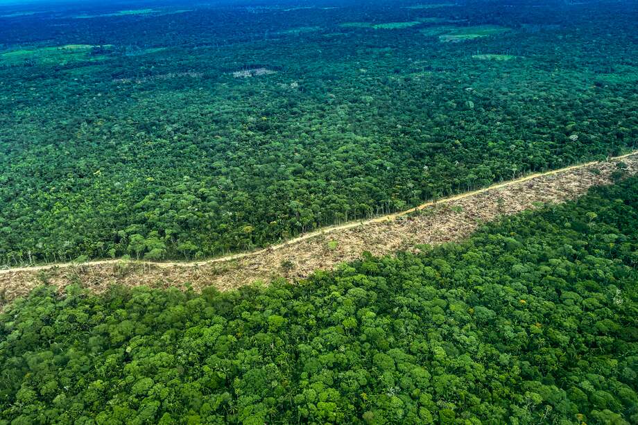 El tramo de esta vía es parte de las más de 4.700 vías ilegales de la Amazonia de las que hasta 2023 se tenía registro oficial, con una longitud total de 9.202 kilómetros.