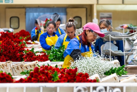 Flores colombianas para el Día de la Madre: las que más se exportan y otros datos clave