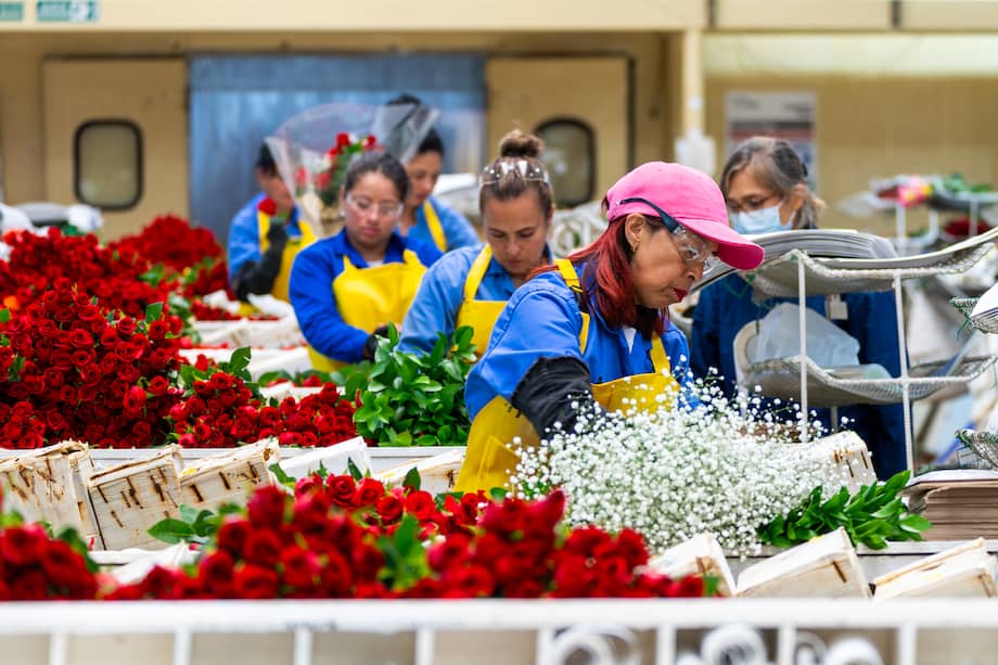 Flores colombianas, imagen de referencia.