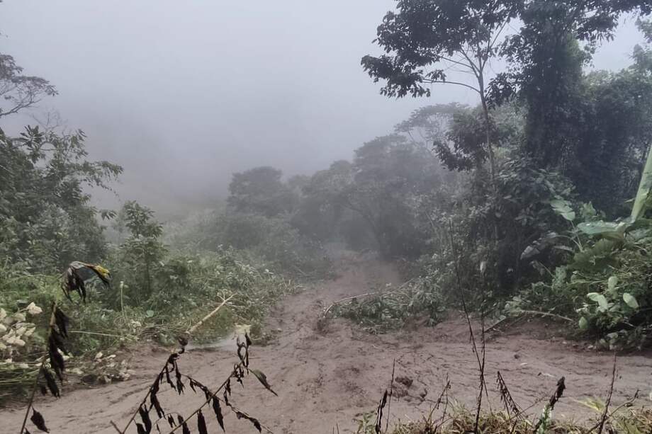 El hallazgo de un cuerpo en Riosucio, Chocó, sería el de una de las víctimas desaparecidas tras la avenida torrencial en Dabeiba.