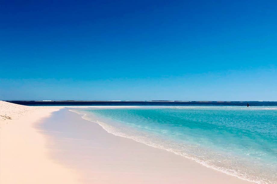 La ballena pudo haber sido golpeada por un barco o también pudo haber muerto por enfermedades o parásitos.