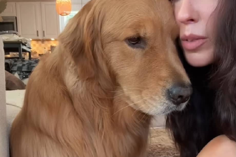 El caso de Wally resalta un comportamiento común: muchos perros eligen a una persona favorita, que no siempre es su dueño ni alguien con quien vivan.