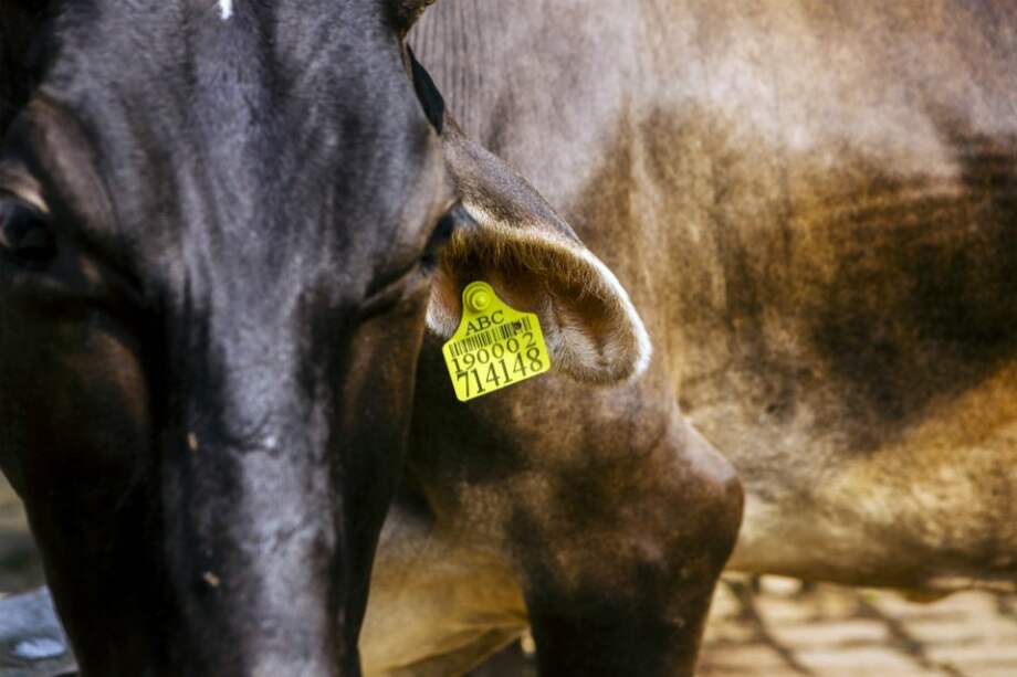 Bloomberg News / Bloomberg News