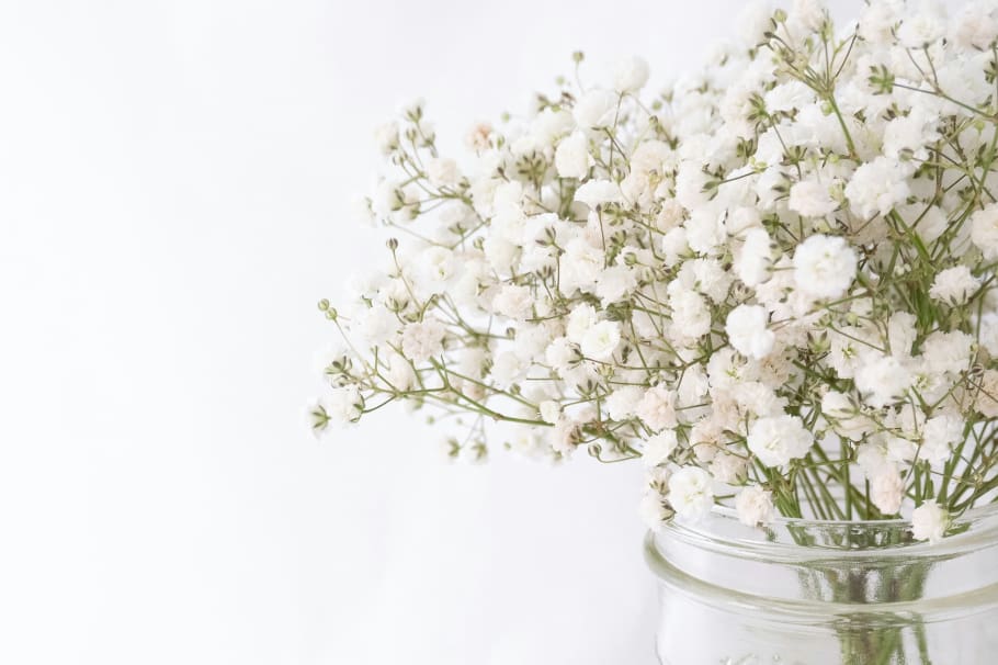 ¿Sabías que el 14 de marzo se regalan flores blancas? Acá te dejamos el significado de esta celebración para que decidas si las das o no.