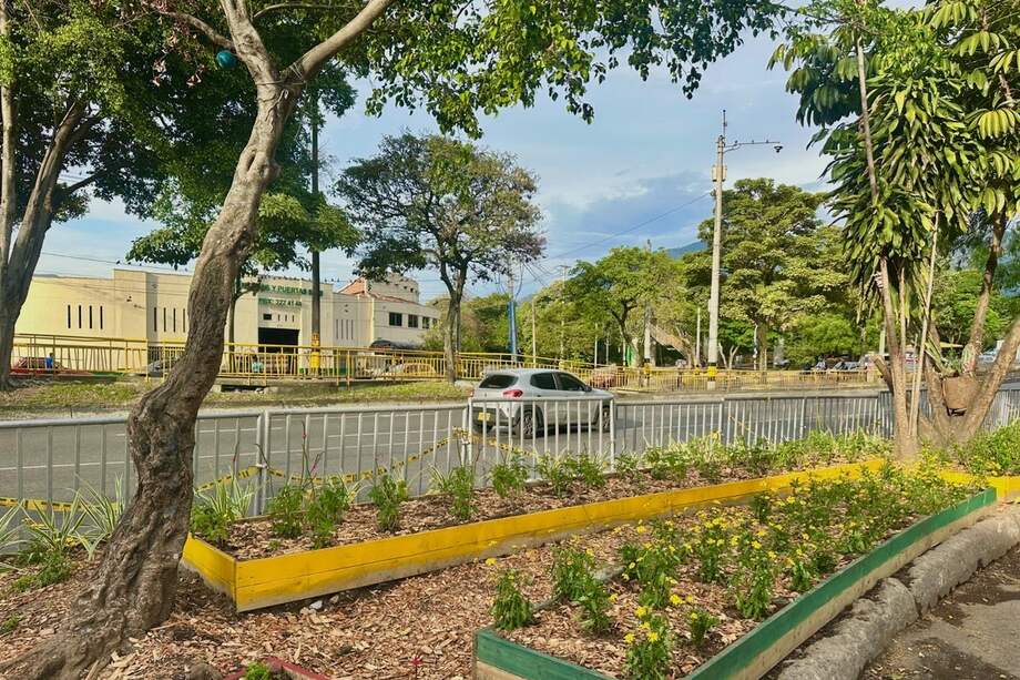 Se consideraron especies con flores llamativas y con oferta de alimento para la fauna, para reverdecer el espacio con color y diversidad.