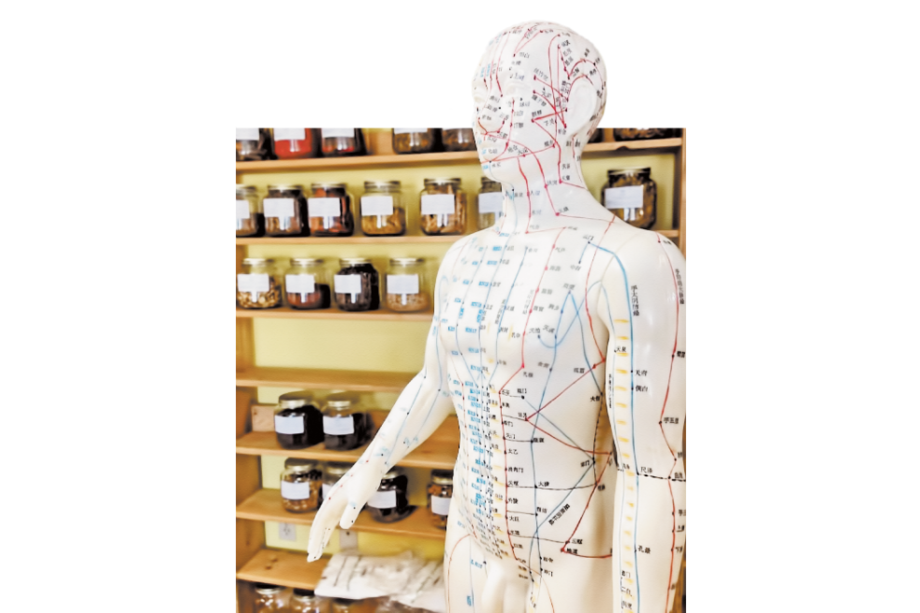 Homeopatía, ¿debe ser expulsada de la Nacho?