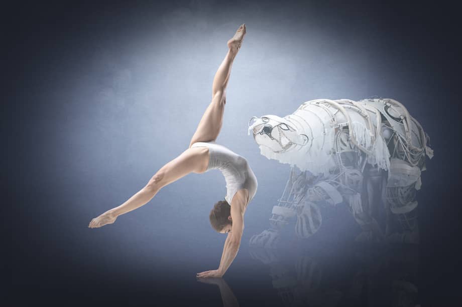 Dirección y coreografía: Bence Vági