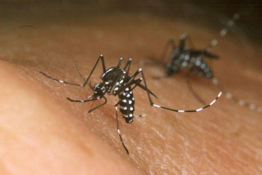 Caso de chikungunya en Colombia fue importado