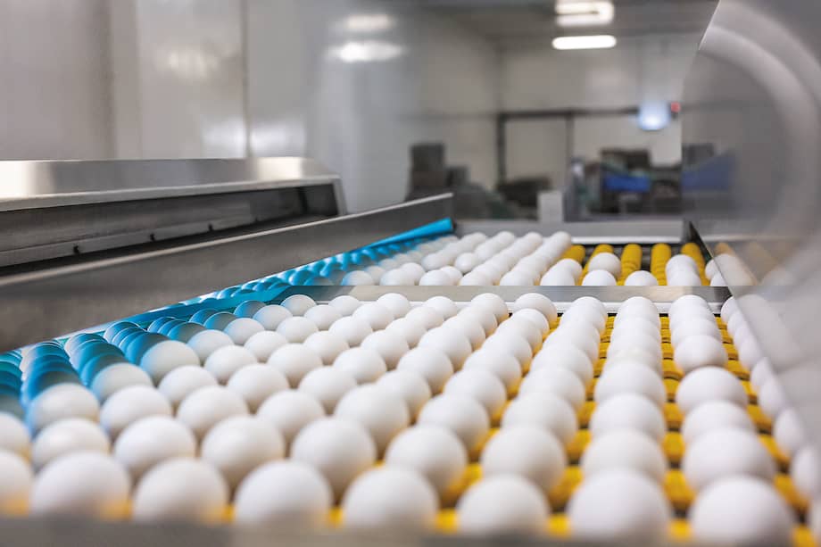 El huevo es una de las proteínas de origen animal más consumidas.