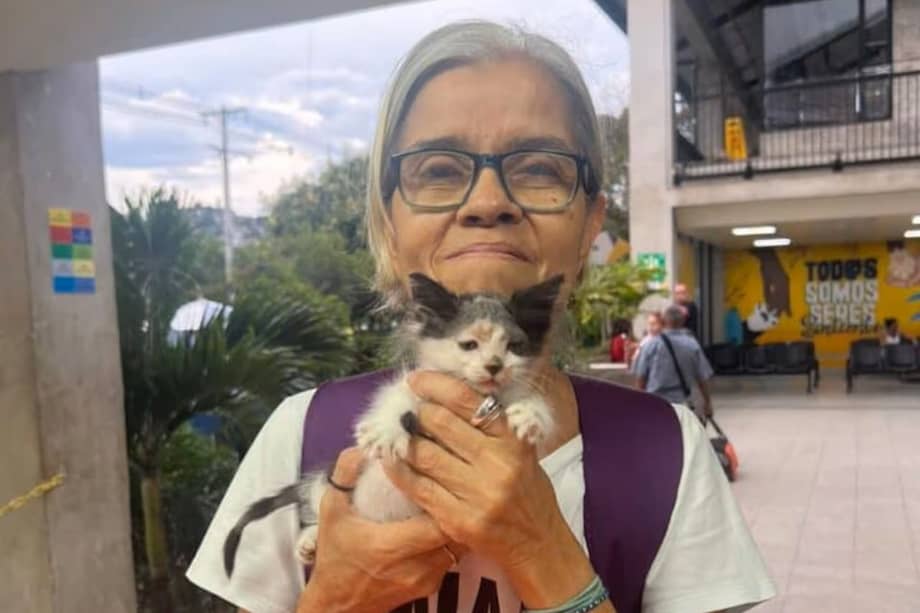 Nancy Díaz apoyaba las esterilizaciones y rescate de animales en el oriente de Cali.