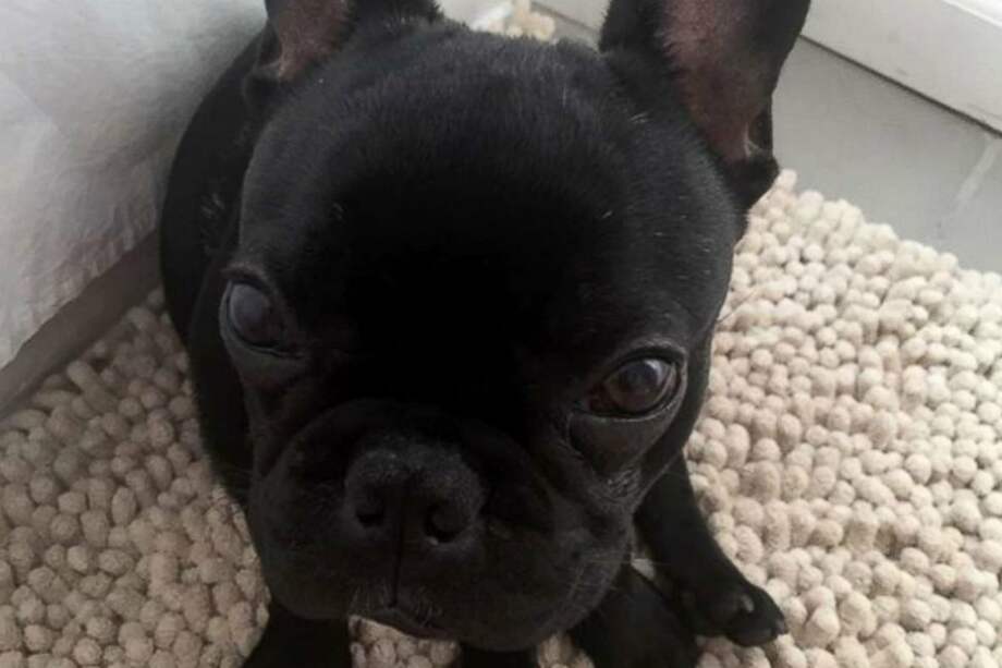 Cortesía familia Castaño