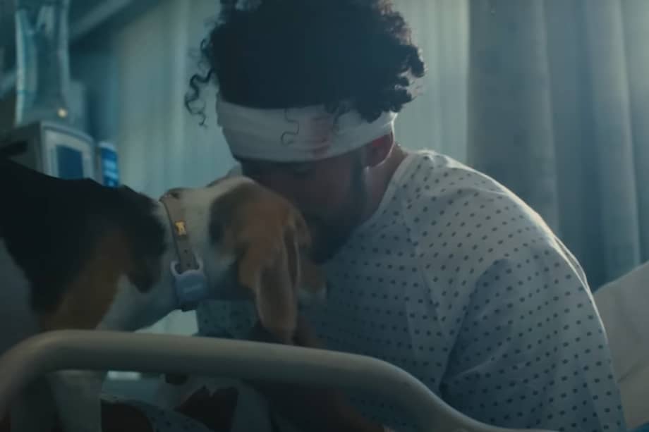 El artista había afirmado en sus redes sociales que su canción "Ojitos Lindos" estaba dedicada a su perrita.