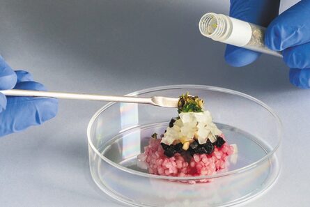 Carne sin matar animales: ¿Se comería una pechuga fabricada en un laboratorio?